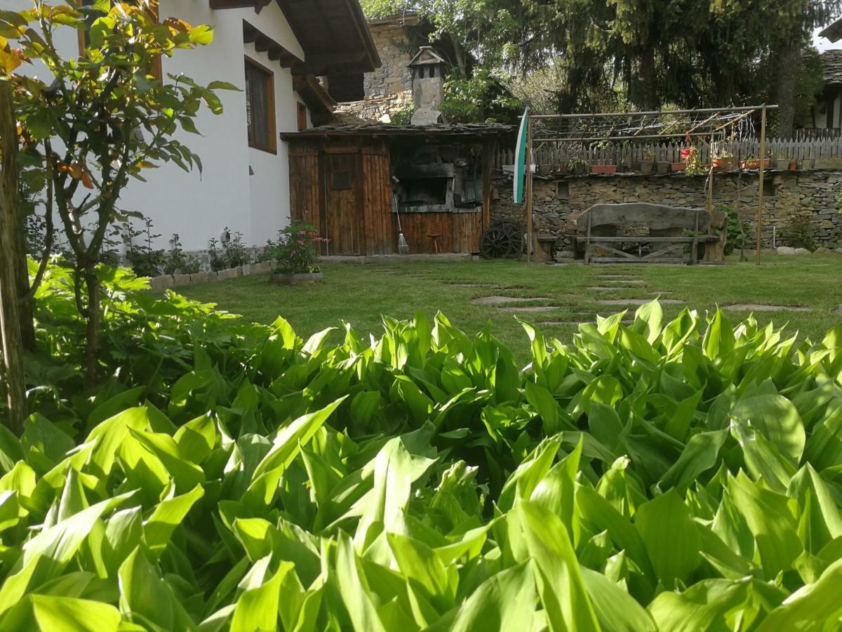 Слънчевата Къща Hotel Kovachevitsa Bagian luar foto
